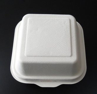 Disposable Biodegradable Sugarcane Bagasse Takeaway Food Packaging Box –  Fastfoodpak