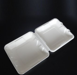 Disposable Biodegradable Sugarcane Bagasse Takeaway Food Packaging Box –  Fastfoodpak