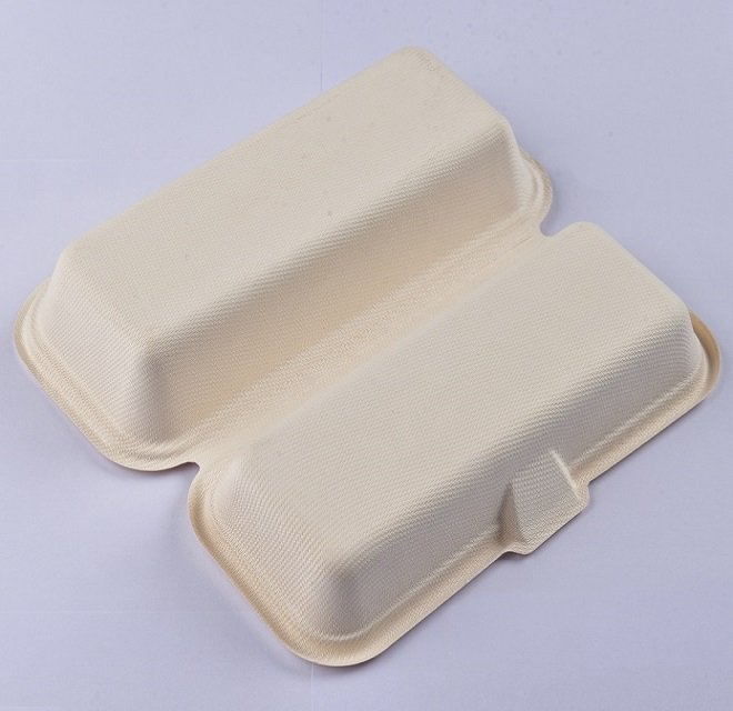 Disposable Biodegradable Sugarcane Bagasse Takeaway Food Packaging Box –  Fastfoodpak