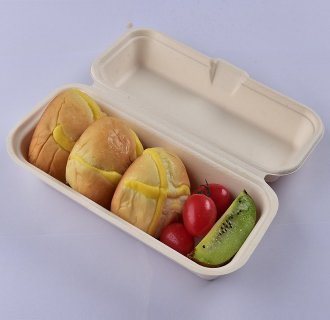 Disposable Biodegradable Sugarcane Bagasse Takeaway Food Packaging Box –  Fastfoodpak